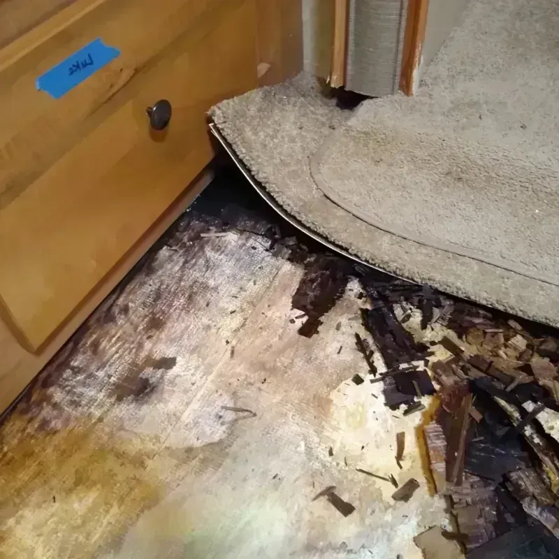 Best Wood Floor Water Damage Service in Albert Lea, MN